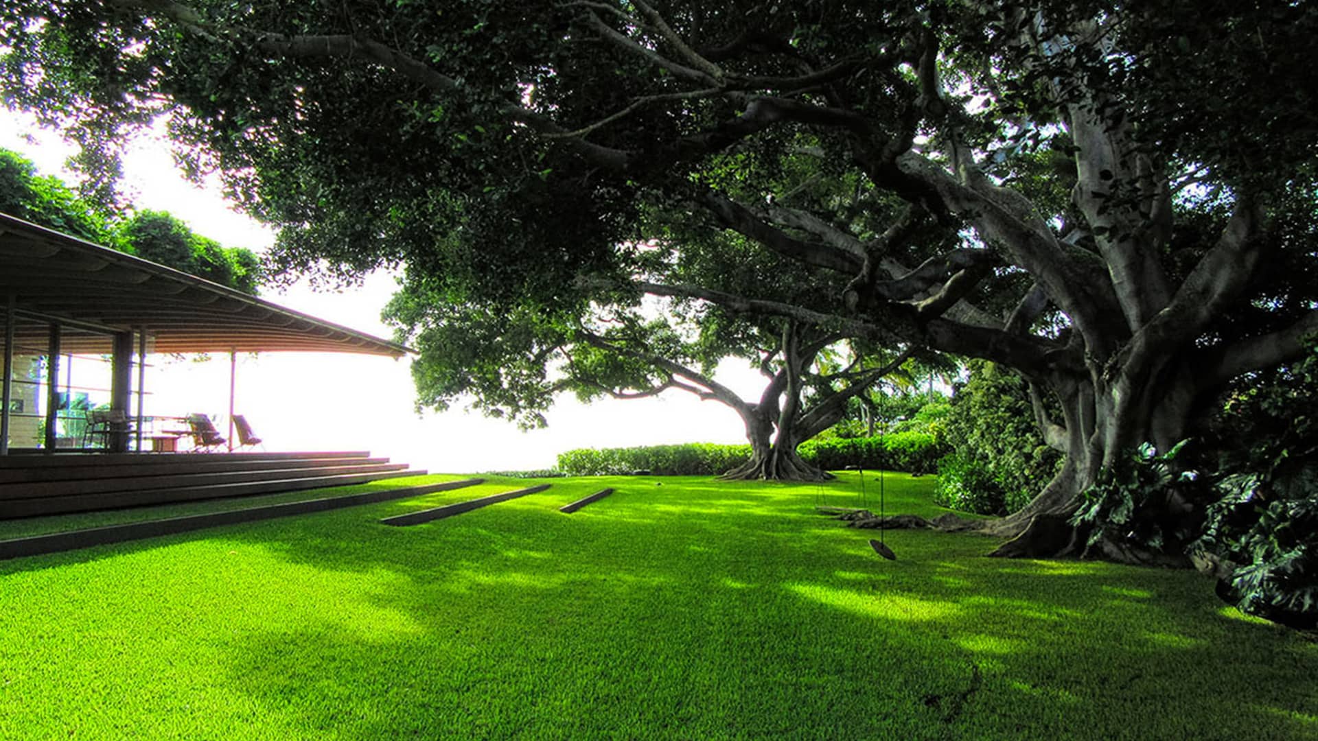 lihue-lush Image