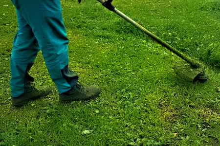 Lihue Homeowner’s Guide to Weed Whacking Without Damaging Your Lawn