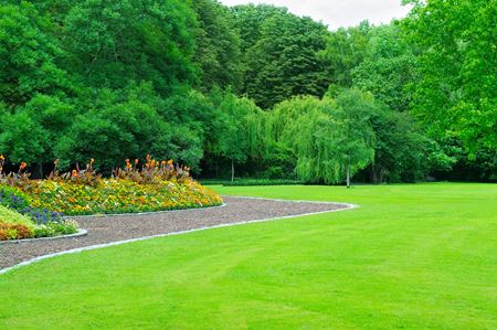 Mastering Lawn Mowing: Tips for a Perfectly Manicured Lawn Thumbnail