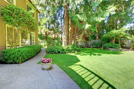 Unlocking the Benefits of Professional Lawn Care Services Thumbnail